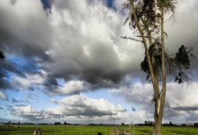 开元棋牌官方网址-从德国绝杀瑞士到富安健洋的崛起，关键时刻站出来的亚洲力量