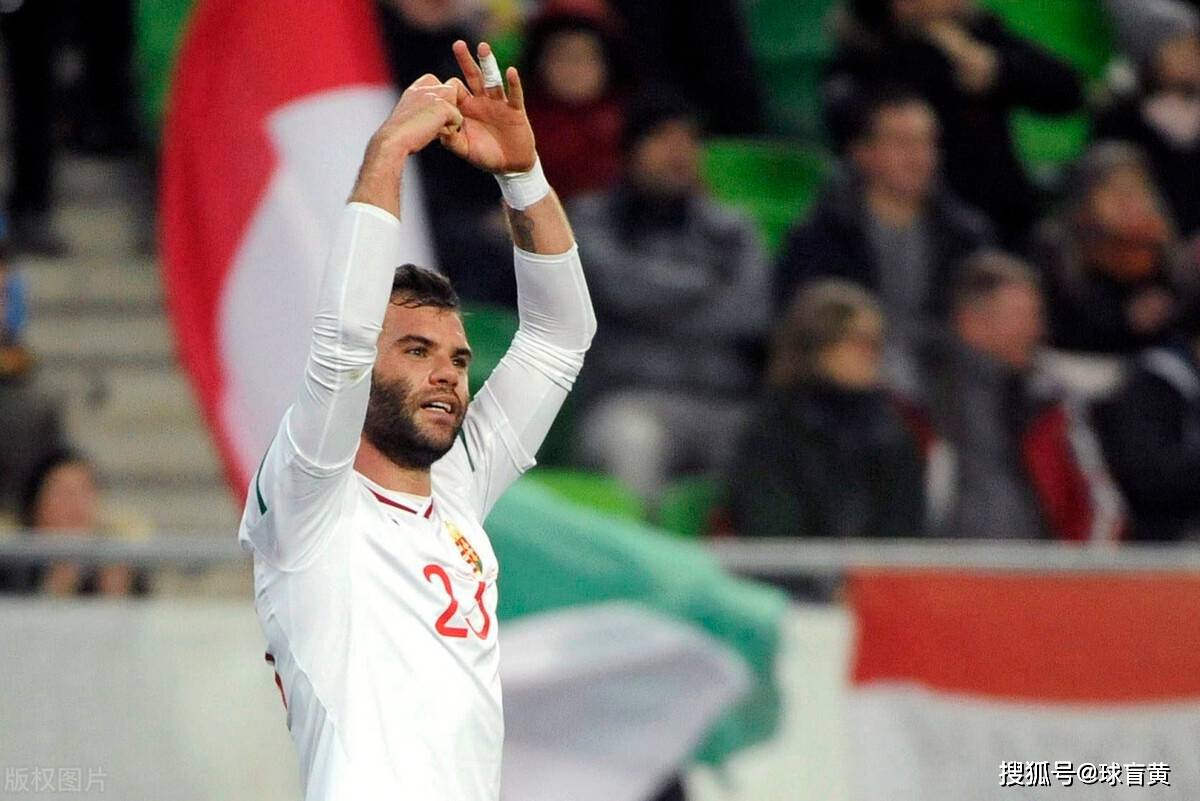 匈牙利主场战平波斯尼亚，晋级前景不明朗