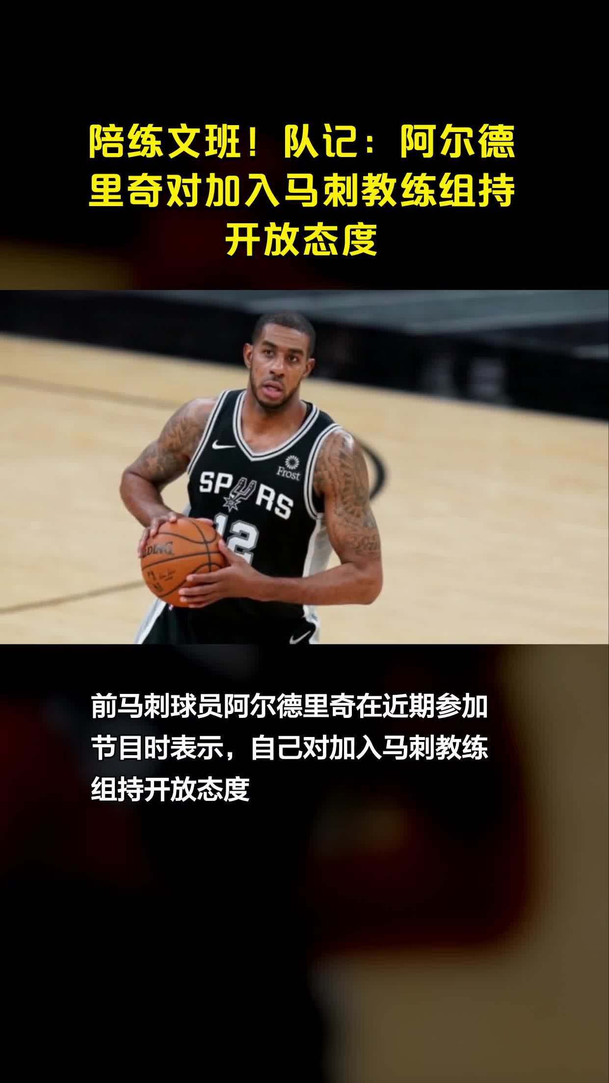 阿尔德里奇发挥稳定，球队战绩不断攀升的简单介绍